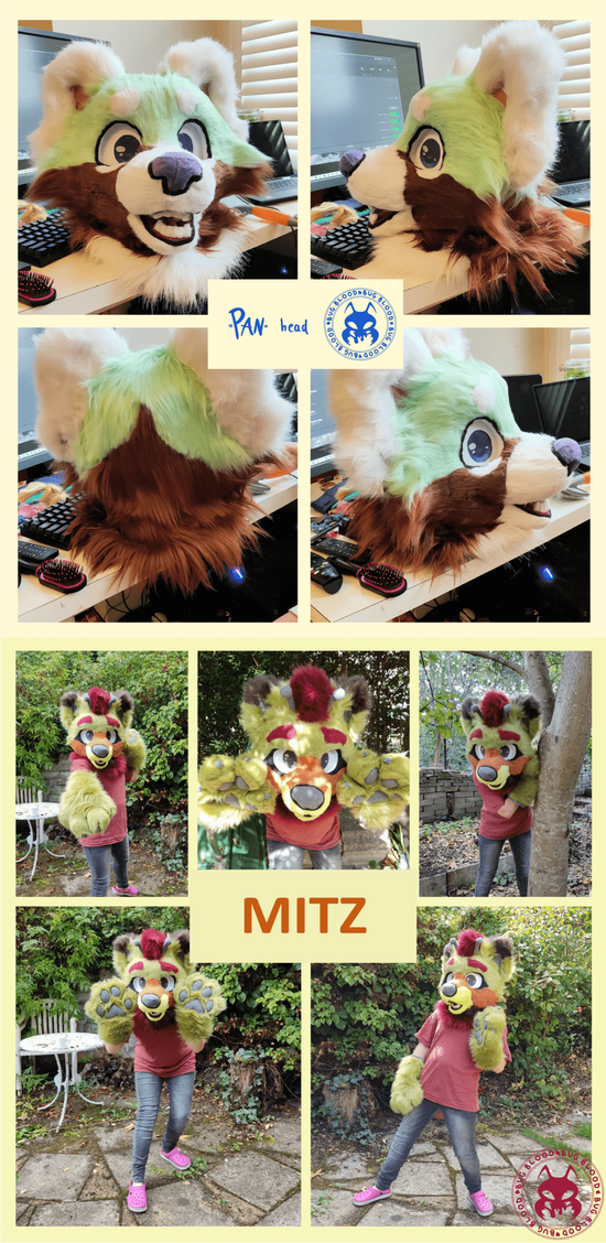 Image of Mitz 1.0 head